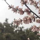 北京旅游 缩略图 8