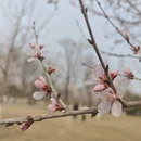 北京旅游 缩略图 7