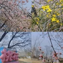 北京旅游 缩略图 2