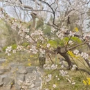 北京旅游 缩略图 6