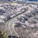 北京旅游 缩略图 1