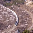 北京旅游 缩略图 2
