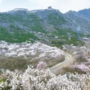 北京旅游 缩略图 3