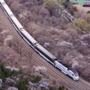 北京旅游 缩略图 1