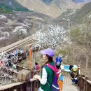 北京旅游 缩略图 7