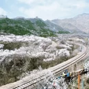 北京旅游 缩略图 4