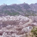 北京旅游 缩略图 9