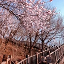 北京旅游 缩略图 5