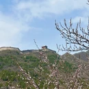 北京旅游 缩略图 6