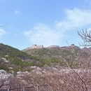北京旅游 缩略图 12