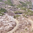 北京旅游 缩略图 11