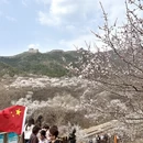 北京旅游 缩略图 10