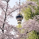 北京旅游 缩略图 2