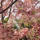 北京旅游 缩略图 11