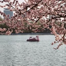 北京旅游 缩略图 6