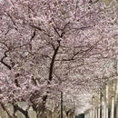 北京旅游 缩略图 3