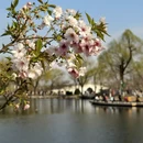 北京旅游 缩略图 11