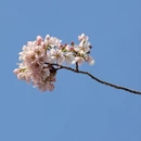 北京旅游 缩略图 9