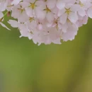 北京旅游 缩略图 1