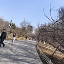 北京旅游 缩略图 3