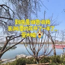 北京旅游 缩略图 1