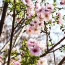 北京旅游 缩略图 5