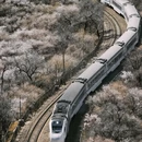 北京旅游 缩略图 8