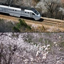 北京旅游 缩略图 5