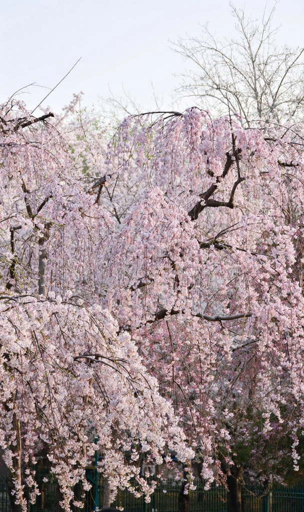 北京旅游