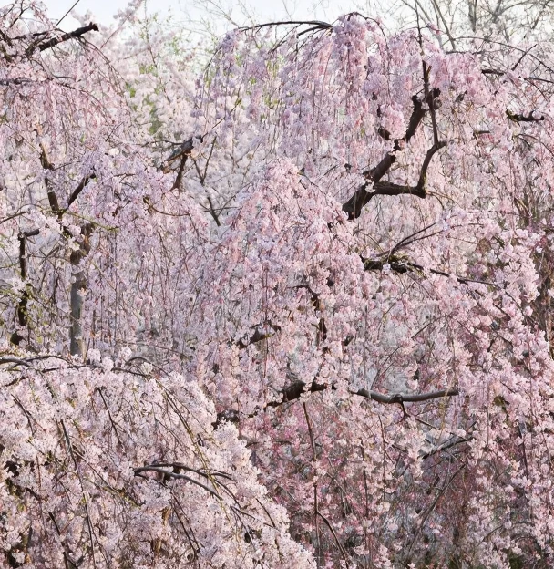 北京旅游 1