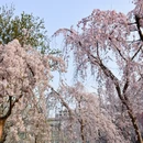 北京旅游 缩略图 3