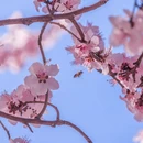 北京旅游 缩略图 3