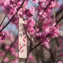 北京旅游 缩略图 5