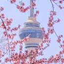 北京旅游 缩略图 6