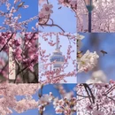 北京旅游 缩略图 1