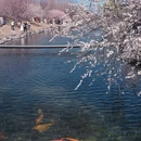北京旅游 缩略图 1