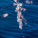 北京旅游 缩略图 5