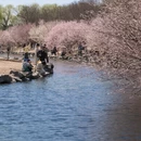 北京旅游 缩略图 2