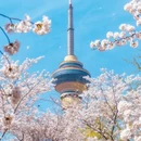 北京旅游 缩略图 8