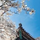 北京旅游 缩略图 6