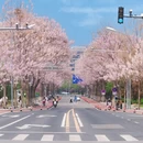 北京旅游 缩略图 14