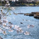 北京旅游 缩略图 10
