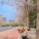 北京旅游 缩略图 15