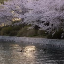 北京旅游 缩略图 12