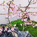 北京旅游 缩略图 4