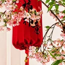 北京旅游 缩略图 11