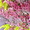 北京旅游 缩略图 14