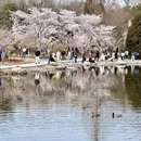 北京旅游 缩略图 4