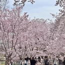 北京旅游 缩略图 12