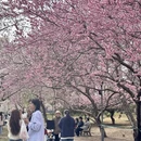 北京旅游 缩略图 11